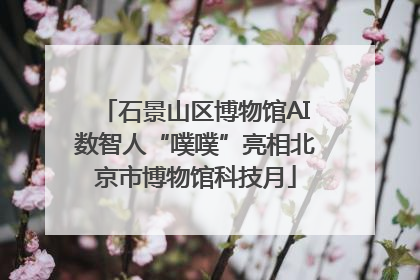 石景山区博物馆AI数智人“噗噗”亮相北京市博物馆科技月