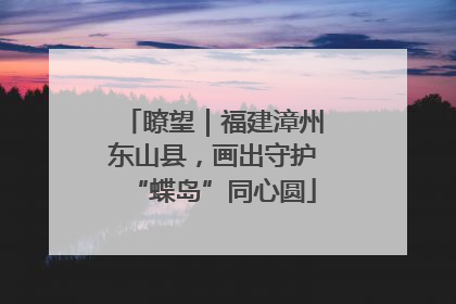 瞭望｜福建漳州东山县，画出守护“蝶岛”同心圆