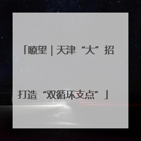 瞭望｜天津“大”招打造“双循环支点”