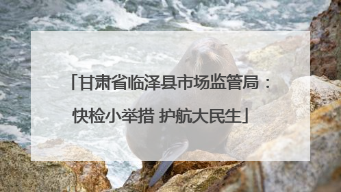 甘肃省临泽县市场监管局：快检小举措 护航大民生