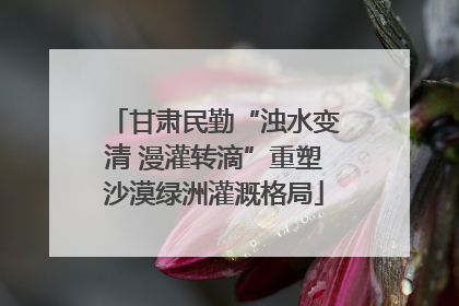 甘肃民勤“浊水变清 漫灌转滴”重塑沙漠绿洲灌溉格局