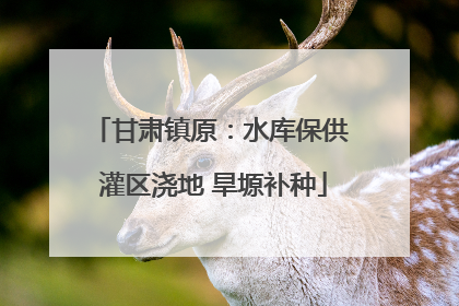 甘肃镇原：水库保供 灌区浇地 旱塬补种