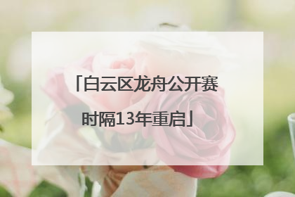 白云区龙舟公开赛时隔13年重启