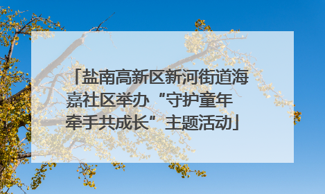盐南高新区新河街道海嘉社区举办“守护童年 牵手共成长”主题活动