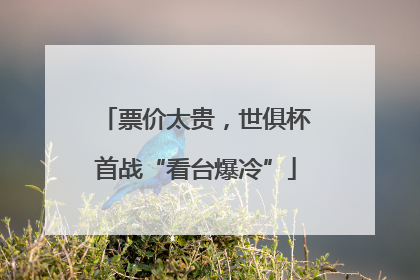 票价太贵，世俱杯首战“看台爆冷”