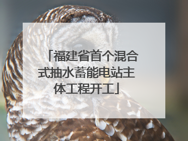福建省首个混合式抽水蓄能电站主体工程开工