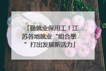 稳就业保用工！江苏各地就业“组合拳”打出发展新活力