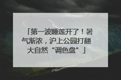 第一波睡莲开了！暑气渐浓，沪上公园打翻大自然“调色盘”