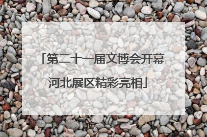 第二十一届文博会开幕 河北展区精彩亮相
