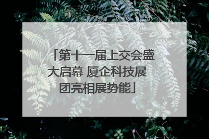 第十一届上交会盛大启幕 厦企科技展团亮相展势能