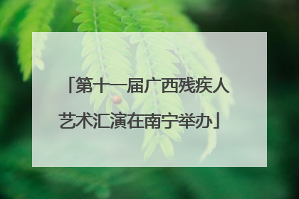 第十一届广西残疾人艺术汇演在南宁举办