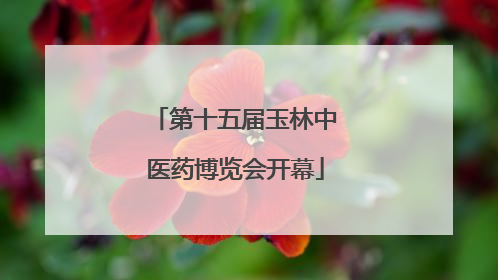 第十五届玉林中医药博览会开幕