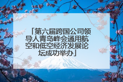 第六届跨国公司领导人青岛峰会通用航空和低空经济发展论坛成功举办