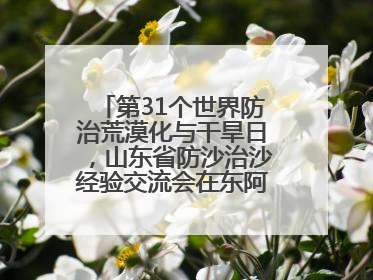 第31个世界防治荒漠化与干旱日，山东省防沙治沙经验交流会在东阿县举办