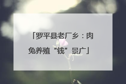 罗平县老厂乡：肉兔养殖“钱”景广