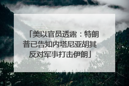 美以官员透露：特朗普已告知内塔尼亚胡其反对军事打击伊朗
