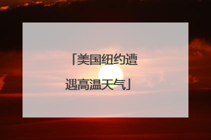 美国纽约遭遇高温天气
