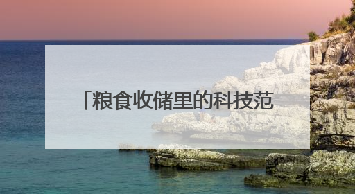 粮食收储里的科技范儿：玉米住进空调房 粮仓披上隔热罩