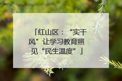 红山区：“实干风”让学习教育照见“民生温度”