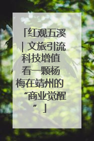 红观五溪｜文旅引流 科技增值 看一颗杨梅在靖州的“商业觉醒”
