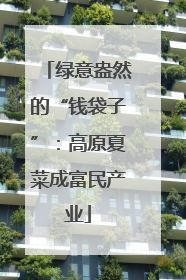 绿意盎然的“钱袋子”：高原夏菜成富民产业