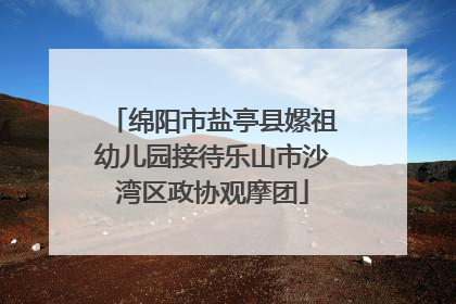 绵阳市盐亭县嫘祖幼儿园接待乐山市沙湾区政协观摩团