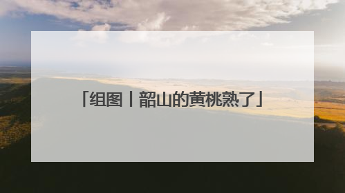 组图丨韶山的黄桃熟了