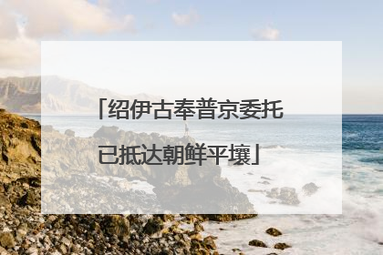 绍伊古奉普京委托已抵达朝鲜平壤