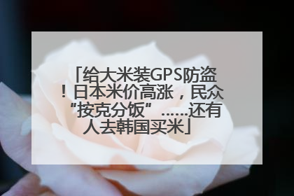 给大米装GPS防盗！日本米价高涨，民众“按克分饭”……还有人去韩国买米