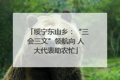 绥宁东山乡：“三会三文”领航向 人大代表助农忙