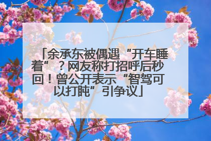 余承东被偶遇“开车睡着”？网友称打招呼后秒回！曾公开表示“智驾可以打盹”引争议