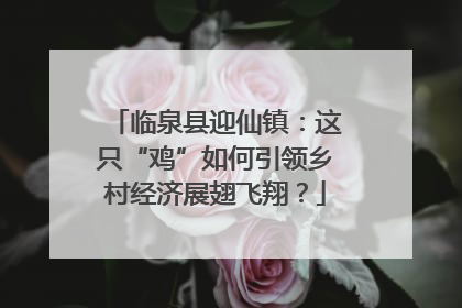 临泉县迎仙镇：这只“鸡”如何引领乡村经济展翅飞翔？