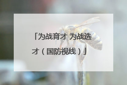 为战育才 为战选才（国防视线）