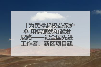为民撑起权益保护伞 用情铺就和谐发展路——记全国先进工作者、新区项目建设中心干部卢小勇