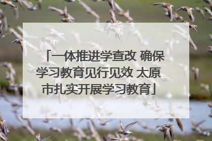 一体推进学查改 确保学习教育见行见效 太原市扎实开展学习教育