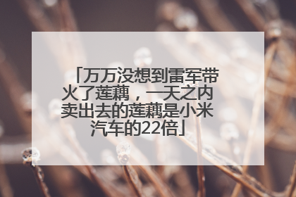 万万没想到雷军带火了莲藕，一天之内卖出去的莲藕是小米汽车的22倍