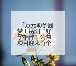 万元助孕圆梦！岳阳“好孕相伴”公益项目迎来首个新生宝宝