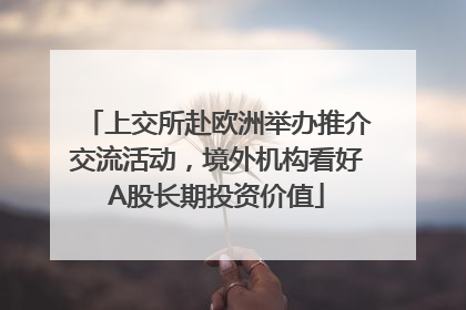 上交所赴欧洲举办推介交流活动，境外机构看好A股长期投资价值