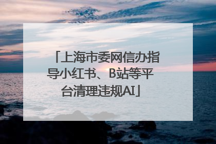 上海市委网信办指导小红书、B站等平台清理违规AI