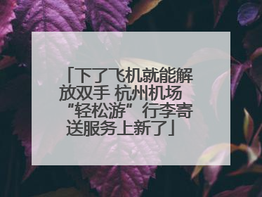 下了飞机就能解放双手 杭州机场“轻松游”行李寄送服务上新了