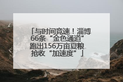 与时间竞速！淄博66条“金色通道”跑出156万亩夏粮抢收“加速度”