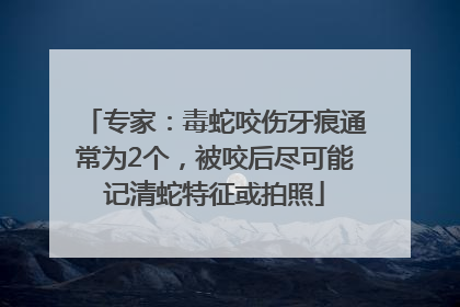 专家：毒蛇咬伤牙痕通常为2个，被咬后尽可能记清蛇特征或拍照