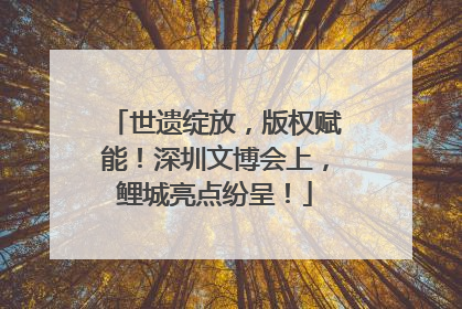 世遗绽放，版权赋能！深圳文博会上，鲤城亮点纷呈！