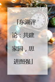 东湖评论：共建家园，思进图强