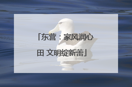 东营：家风润心田 文明绽新蕾