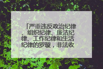 严重违反政治纪律、组织纪律、廉洁纪律、工作纪律和生活纪律的罗璇，非法收受他人巨额财物