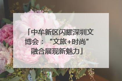 中牟新区闪耀深圳文博会：“文旅+时尚”融合展现新魅力