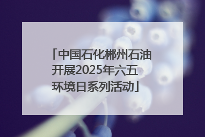 中国石化郴州石油开展2025年六五环境日系列活动