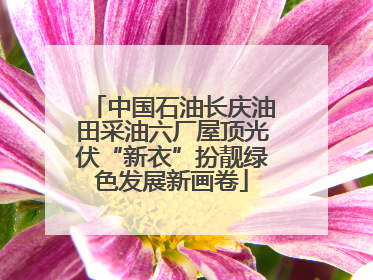 中国石油长庆油田采油六厂屋顶光伏“新衣”扮靓绿色发展新画卷