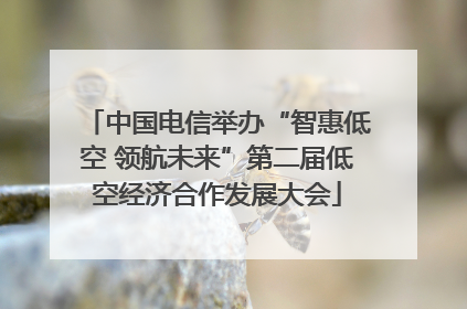 中国电信举办“智惠低空 领航未来”第二届低空经济合作发展大会